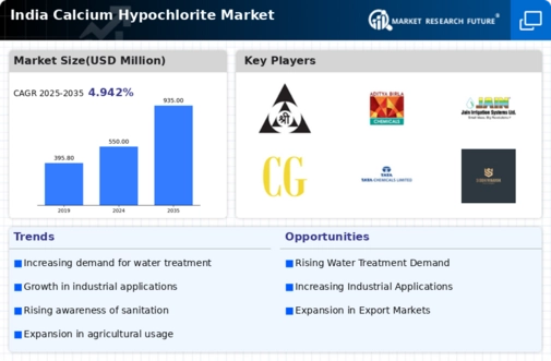 India Calcium Hypochlorite Market Infographic