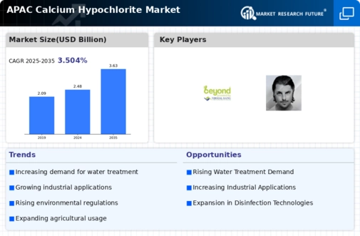 APAC Calcium Hypochlorite Market Infographic