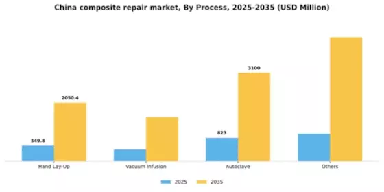 China Composite Repair Market Segment Image 1
