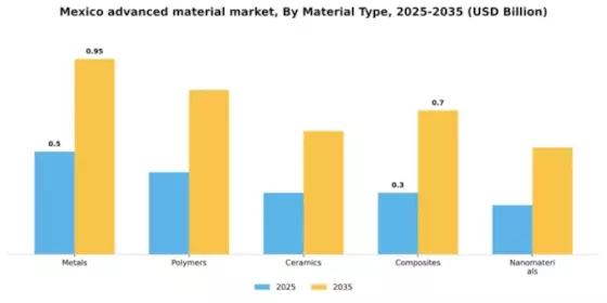 Mexico Advanced Material Market Segment Image 3