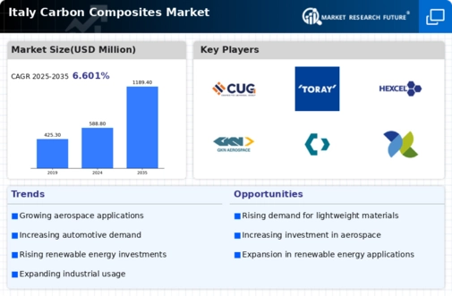 Italy Carbon Composites Market Infographic
