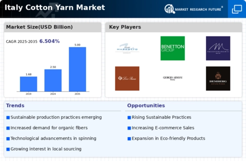 Italy Cotton Yarn Market Infographic