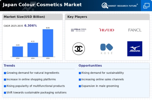 Japan Colour Cosmetics Market Infographic