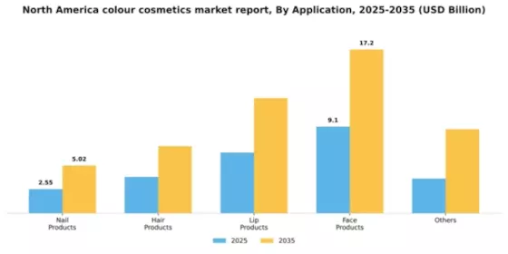 North America Colour Cosmetics Market Segment Image 0