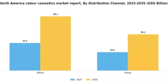 North America Colour Cosmetics Market Segment Image 1