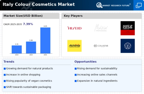 Italy Colour Cosmetics Market Infographic