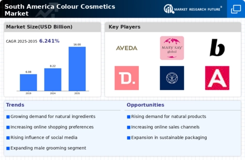 South America Colour Cosmetics Market Infographic