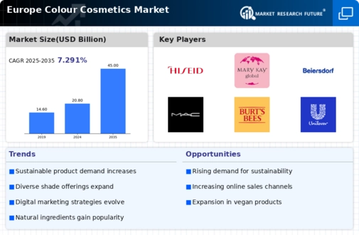 Europe Colour Cosmetics Market Infographic