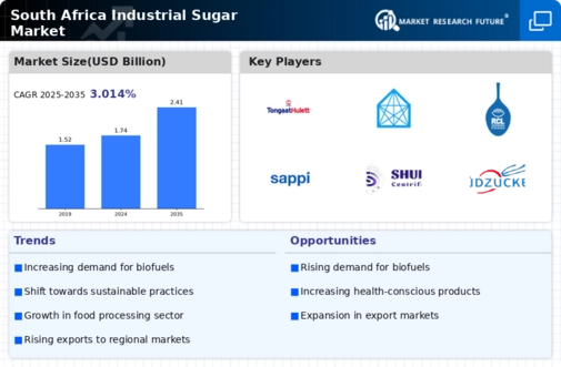 South Africa Industrial Sugar Market Infographic