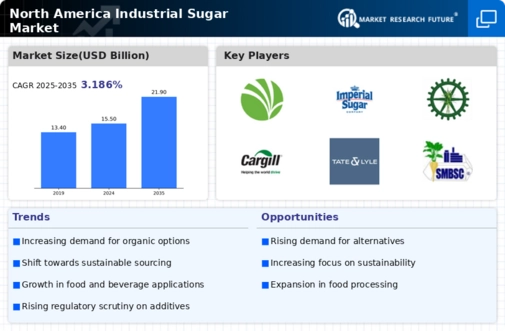 North America Industrial Sugar Market Infographic