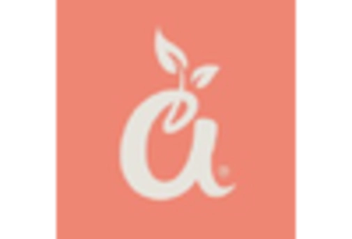 North America Baking Mixes Market key player