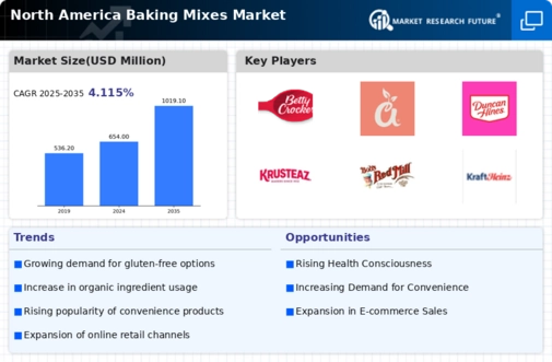 North America Baking Mixes Market Infographic