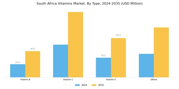 South Africa Vitamins Market  Segment Image 0