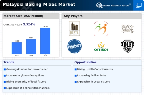 Malaysia Baking Mixes Market Infographic