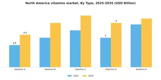 North America Vitamins Market
 Segment Image 3