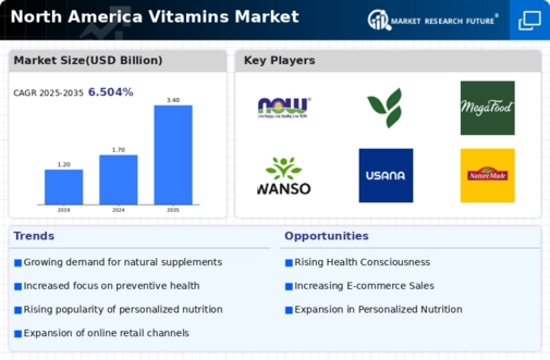 North America Vitamins Market
 Infographic