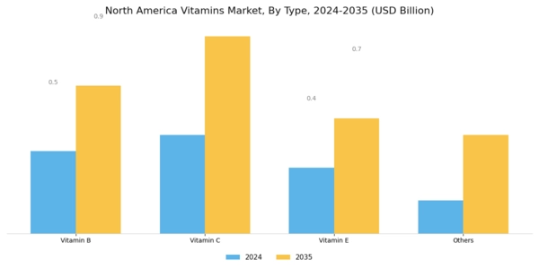 North America Vitamins Market
 Segment Image 0