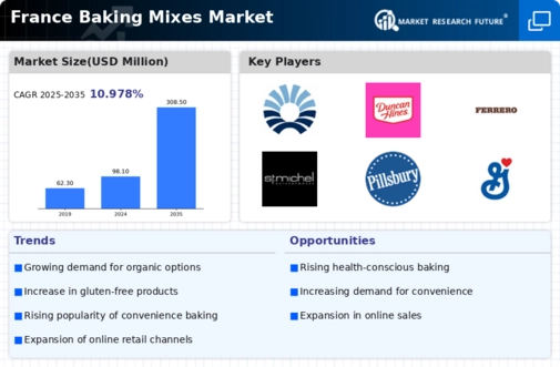 France Baking Mixes Market Infographic