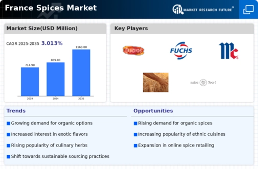France Spices Market Infographic