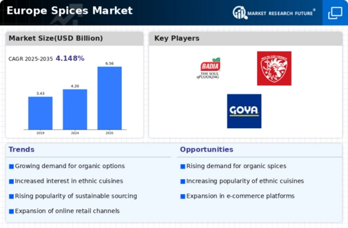 Europe Spices Market Infographic
