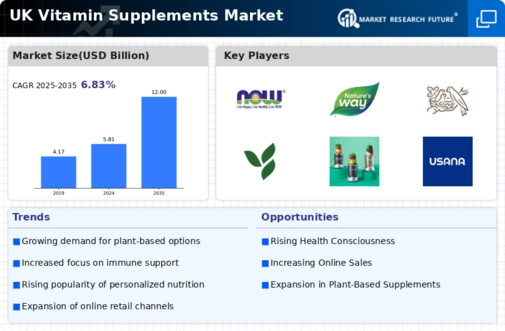 UK Vitamin Supplements Market
 Infographic