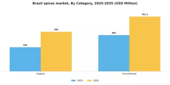 Brazil Spices Market Segment Image 0