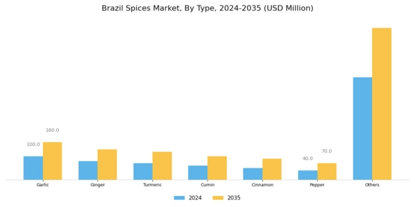 Brazil Spices Market Segment Image 0