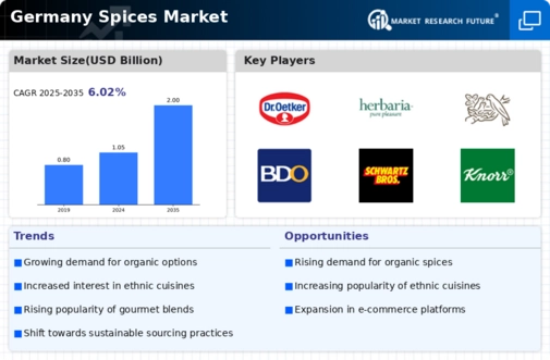 Germany Spices Market Infographic