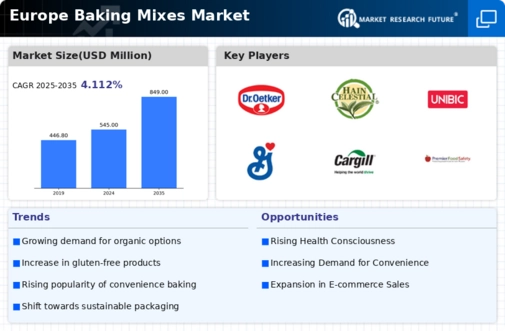 Europe Baking Mixes Market Infographic