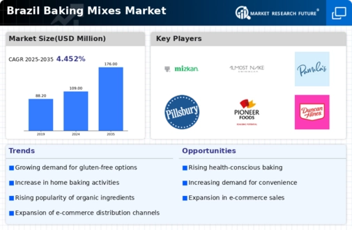 Brazil Baking Mixes Market Infographic