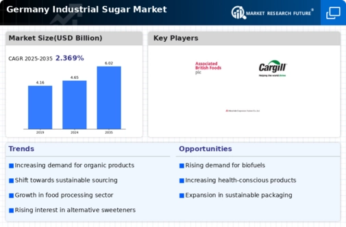 Germany Industrial Sugar Market Infographic