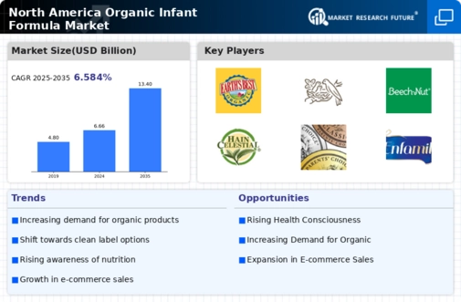 North America Organic Infant Formula Market Infographic