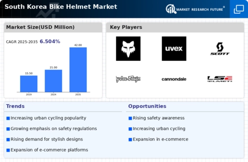 South Korea Bike Helmet Market Infographic