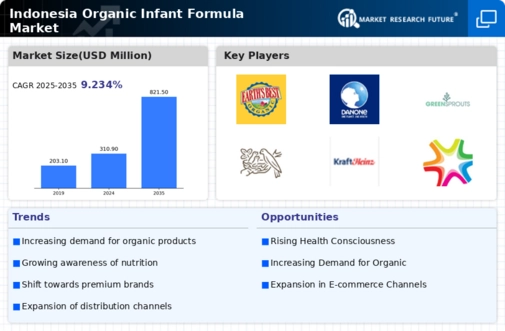 Indonesia Organic Infant Formula Market Infographic