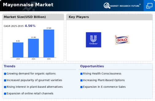 Mayonnaise Market Infographic