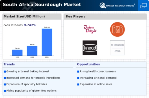 South Africa Sourdough Market Infographic