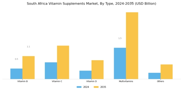 South Africa Vitamin Supplements Market
 Segment Image 0