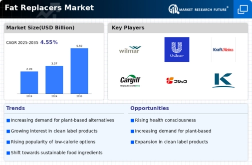 Fat Replacers Market Infographic