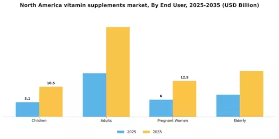 North America Vitamin Supplements Market
 Segment Image 1