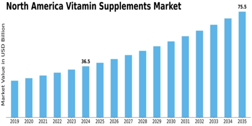 North America Vitamin Supplements Market
 Size