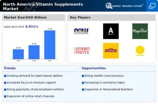 North America Vitamin Supplements Market
 Infographic