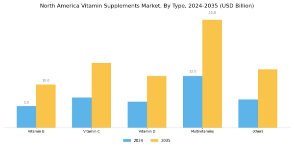 North America Vitamin Supplements Market
 Segment Image 0