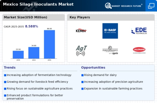 Mexico Silage Inoculants Market Infographic