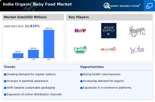 India Organic Baby Food Market Infographic