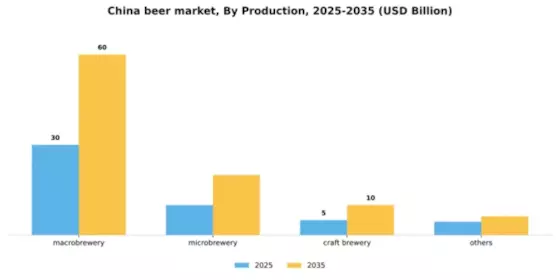 China Beer Market Segment Image 5