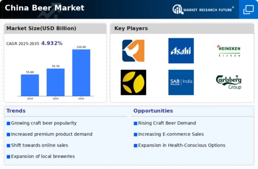China Beer Market Infographic