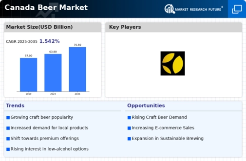 Canada Beer Market Infographic