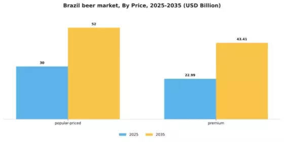 Brazil Beer Market Segment Image 4