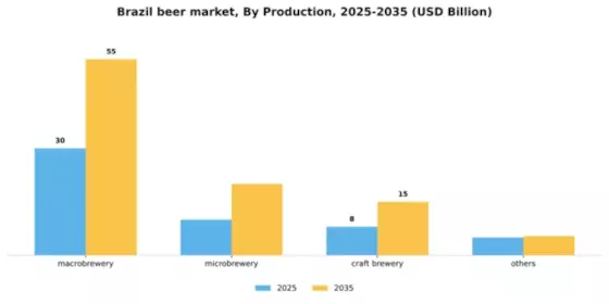 Brazil Beer Market Segment Image 5