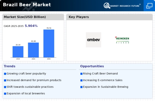 Brazil Beer Market Infographic